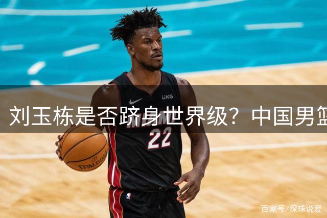 刘玉栋是否跻身世界级？中国男篮四大巨星之外的实力标杆