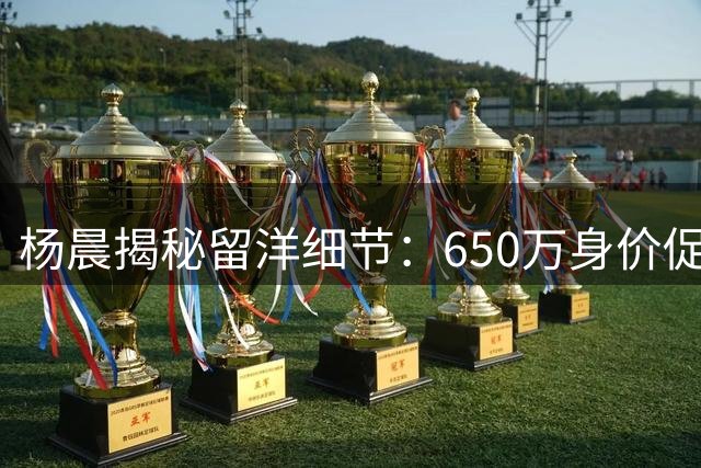杨晨揭秘留洋细节：650万身价促成 附带培养年轻球员计划